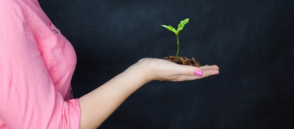A woman holds a sprouting plant in her hands, implying growth.